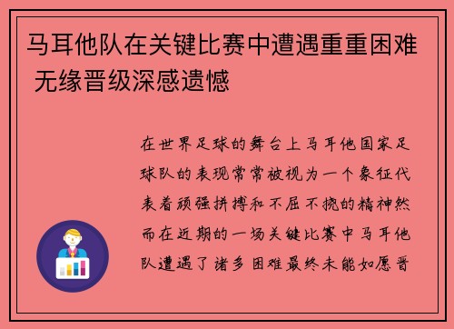 马耳他队在关键比赛中遭遇重重困难 无缘晋级深感遗憾