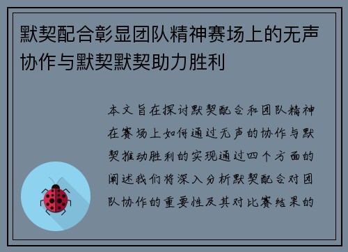默契配合彰显团队精神赛场上的无声协作与默契默契助力胜利
